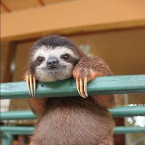 Meet your Posher, Hera